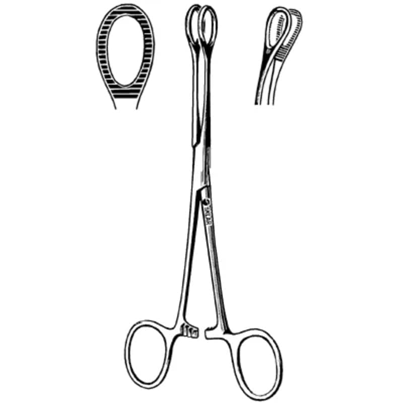 Dental Forcaps