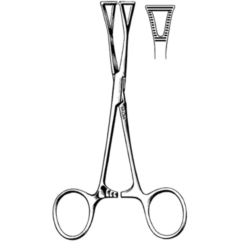 Dental Forcaps