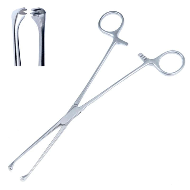 Dental Forcaps