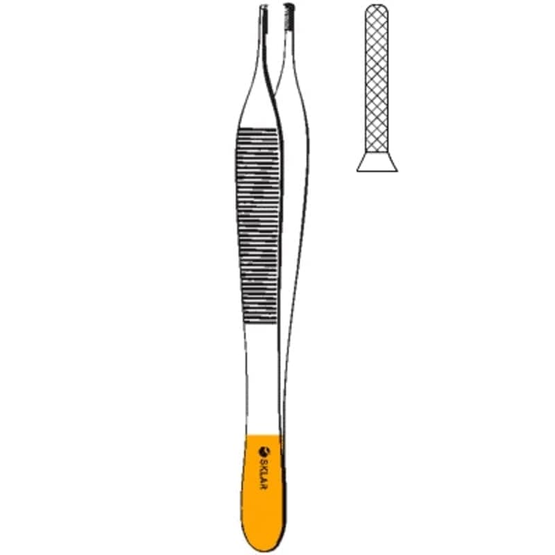 Dental Forcaps