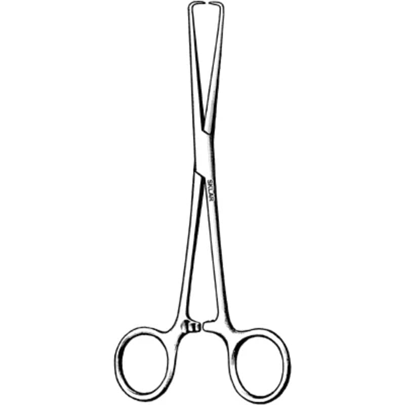 Dental Forcaps
