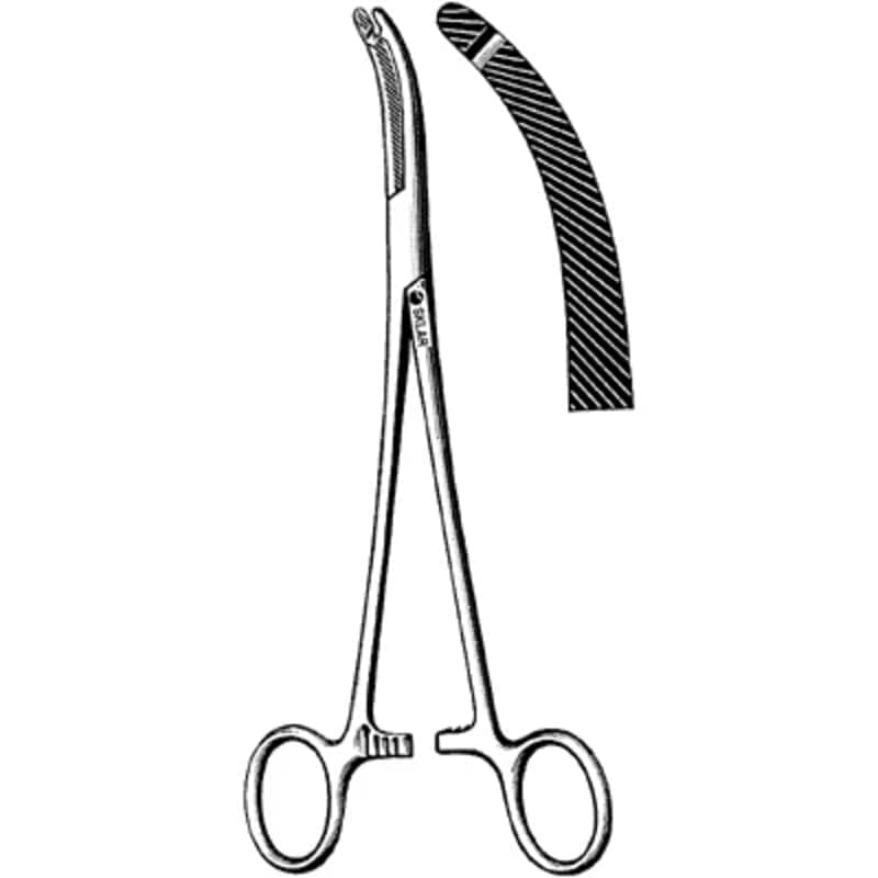 Dental Forcaps